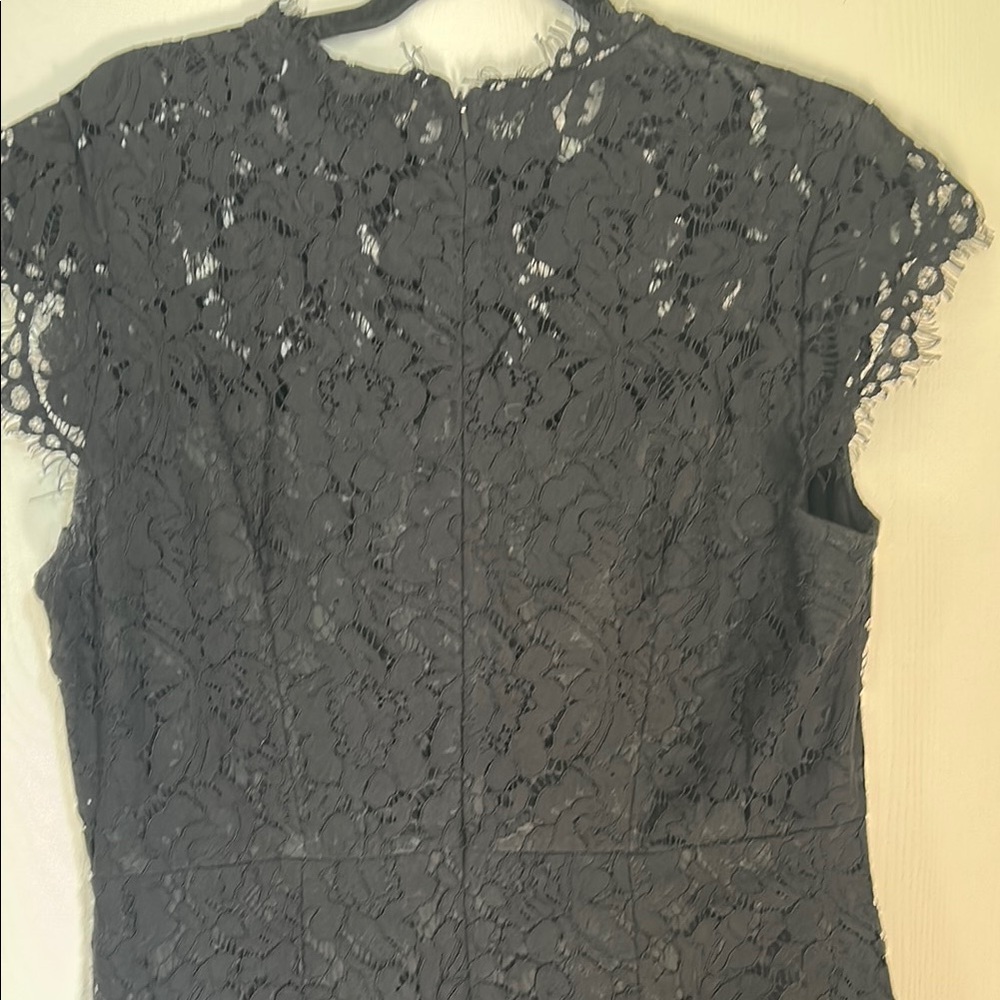 Elegant Black Lace Dress - Picture 4 of 6